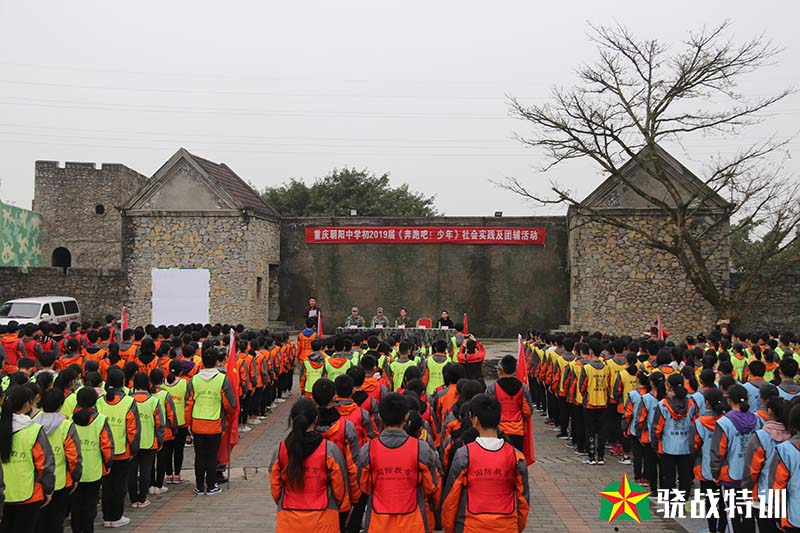 朝阳中学社会实践活动